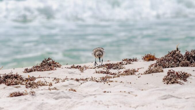 uploaded-image-serefli-koc-hisarda-fotograf-gezileri-1697805431119